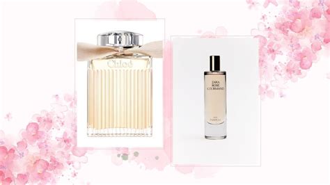 chloe chloe perfume dupe|perfumes that smell like chloe.